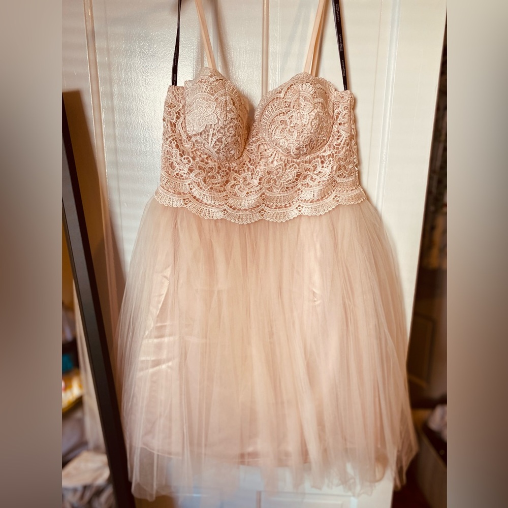 London Dress Co. Pink Tulle and Lace Dress 8 NWT
